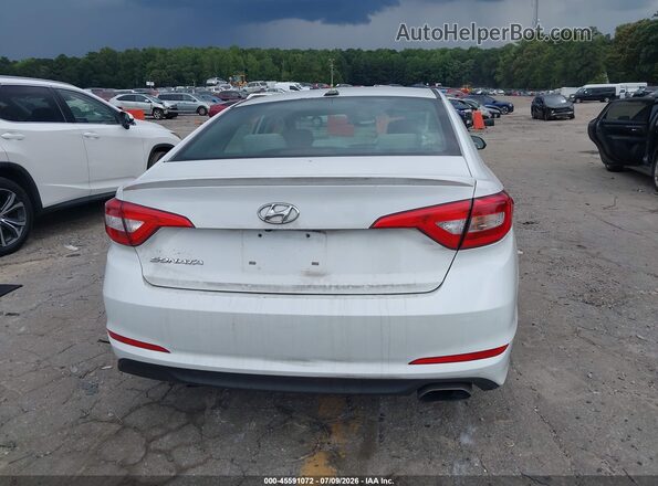 5NPE24AF0HH553773 2017 HYUNDAI SONATA White 
