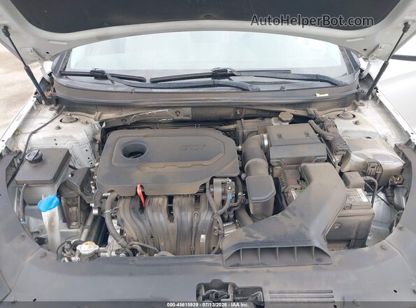 5NPE24AF0KH800846 2019 HYUNDAI SONATA Silver Rear view