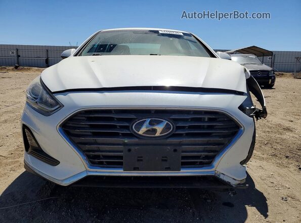 5NPE24AF0KH810390 2019 HYUNDAI SONATA White Դիմացի տեսք