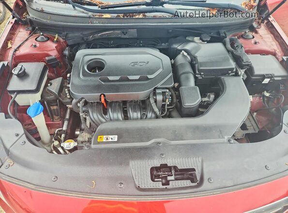 5NPE24AF1GH290448 2016 HYUNDAI SONATA Red Вид задньої частини салону