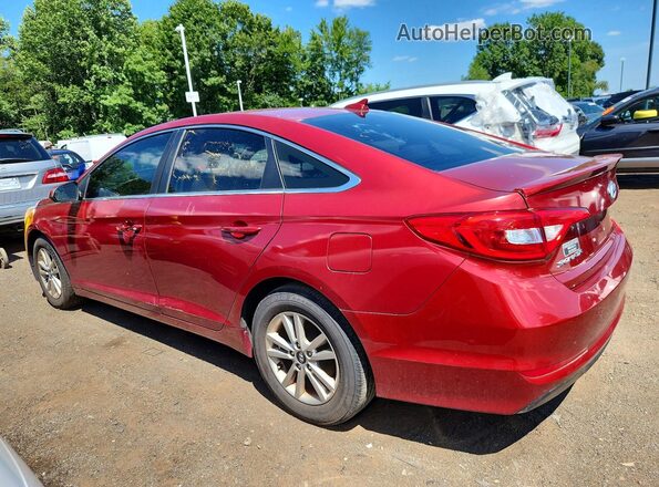 5NPE24AF1GH349076 2016 HYUNDAI SONATA Red Rear left