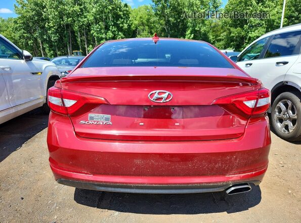 5NPE24AF1GH349076 2016 HYUNDAI SONATA Red Rear view