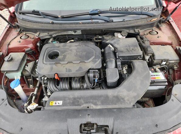 5NPE24AF1GH365763 2016 HYUNDAI SONATA Red Սալոնի հետևի տեսք