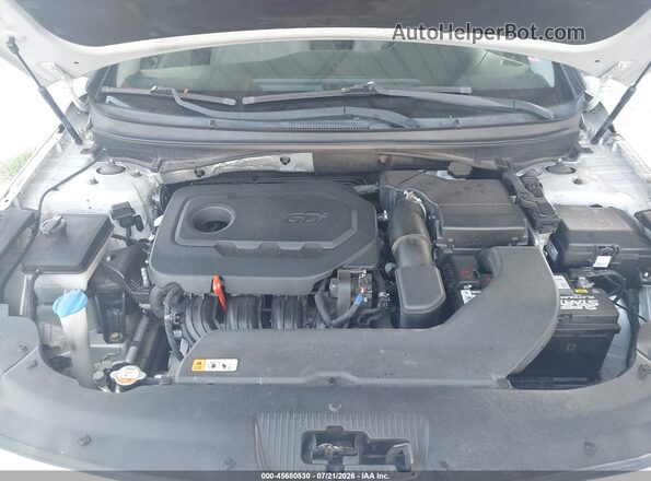5NPE24AF1HH563955 2017 HYUNDAI SONATA Silver Widok z tyłu