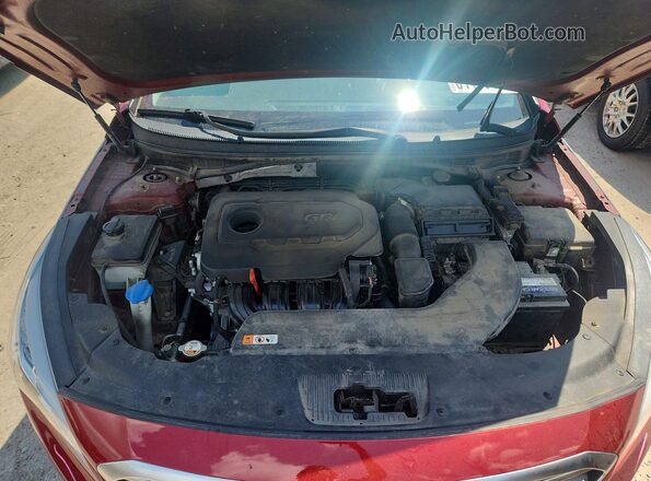 5NPE24AF2GH283847 2016 HYUNDAI SONATA Бордовый Вид задней части салона