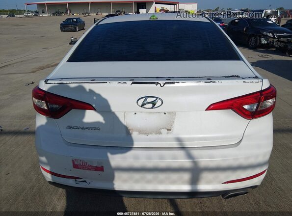 5NPE24AF2GH317401 2016 HYUNDAI SONATA White 