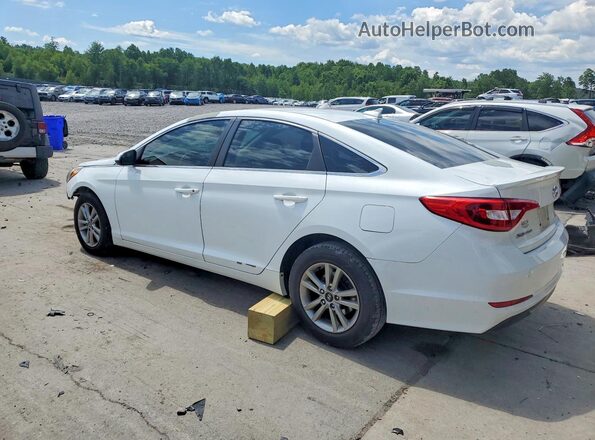 5NPE24AF2GH355646 2016 HYUNDAI SONATA White უკანა მარცხენა