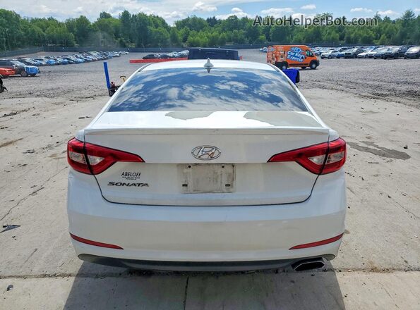 5NPE24AF2GH355646 2016 HYUNDAI SONATA White უკანა ხედი