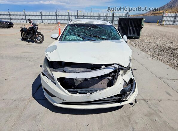 5NPE24AF2GH377226 2016 HYUNDAI SONATA White Դիմացի տեսք