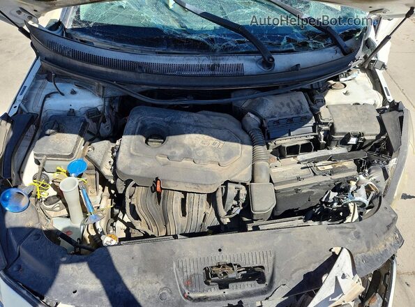 5NPE24AF2GH377226 2016 HYUNDAI SONATA White Սալոնի հետևի տեսք