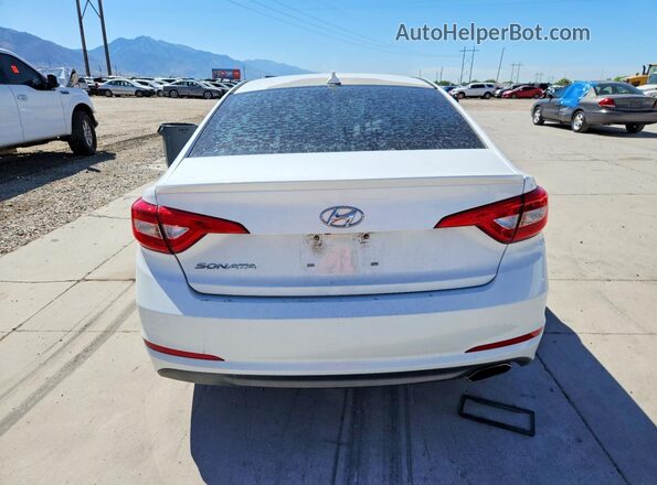 5NPE24AF2GH377226 2016 HYUNDAI SONATA White Հետևի տեսք