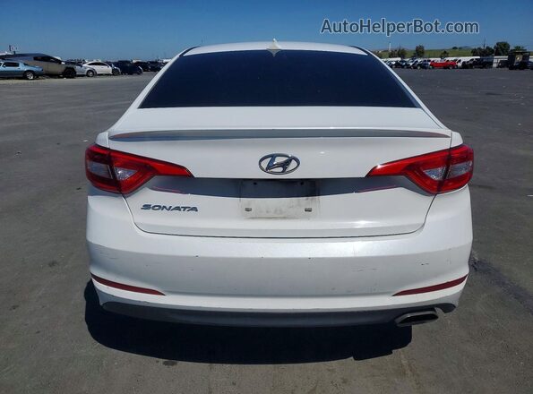 5NPE24AF2GH392972 2016 HYUNDAI SONATA White Widok z tyłu