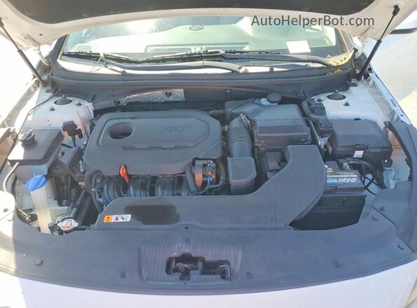 5NPE24AF2GH392972 2016 HYUNDAI SONATA White Widok wnętrza z tyłu