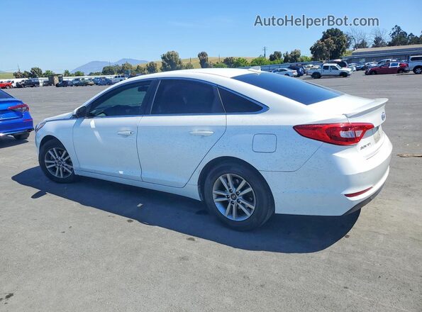5NPE24AF2GH392972 2016 HYUNDAI SONATA White Tył lewy