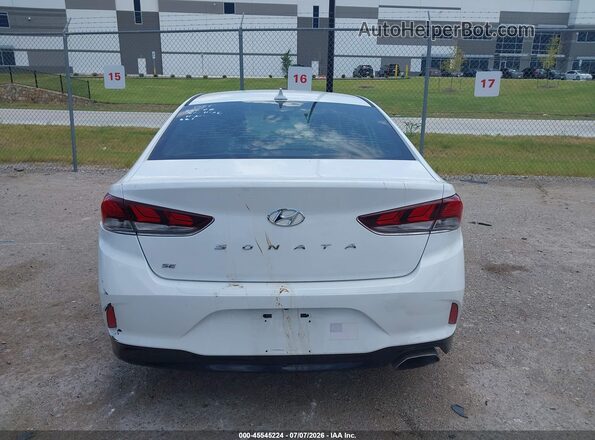 5NPE24AF2KH763962 2019 HYUNDAI SONATA White 