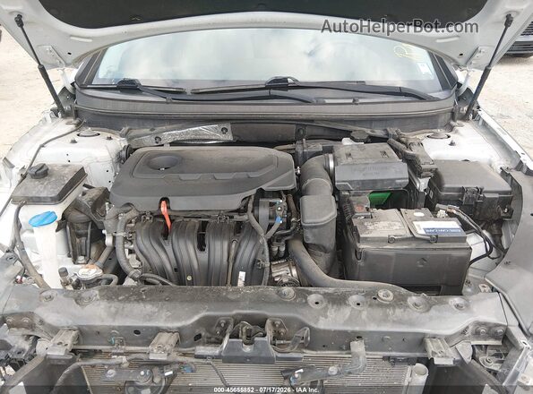 5NPE24AF2KH783063 2019 HYUNDAI SONATA Silver უკანა ხედი