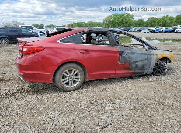5NPE24AF3GH278950 2016 HYUNDAI SONATA Burgundy Հետևի աջ
