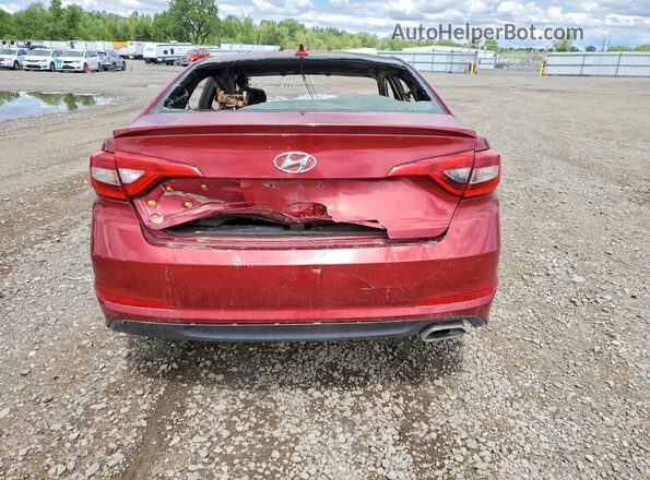 5NPE24AF3GH278950 2016 HYUNDAI SONATA Burgundy Հետևի տեսք