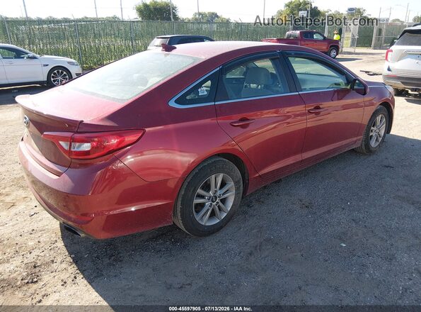 5NPE24AF3GH282870 2016 HYUNDAI SONATA Red Հետևի աջ
