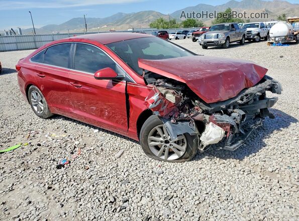 5NPE24AF3GH291522 2016 HYUNDAI SONATA Red Передня права чверть