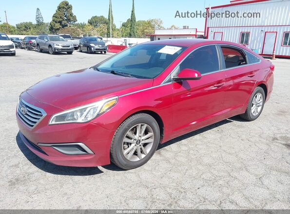5NPE24AF3GH313891 2016 HYUNDAI SONATA Красный Передняя левая четверть