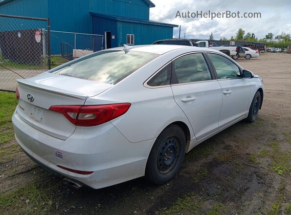 5NPE24AF3GH362170 2016 HYUNDAI SONATA Белый Задняя правая четверть