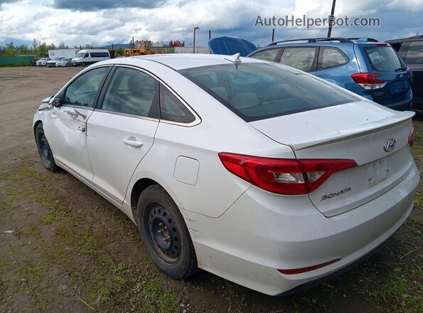 5NPE24AF3GH362170 2016 HYUNDAI SONATA Белый Задняя левая четверть