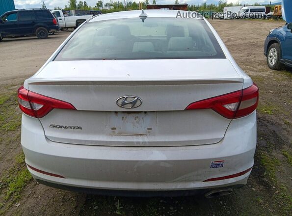 5NPE24AF3GH362170 2016 HYUNDAI SONATA Белый Вид сзади