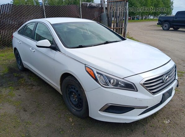 5NPE24AF3GH362170 2016 HYUNDAI SONATA Белый Передняя правая четверть
