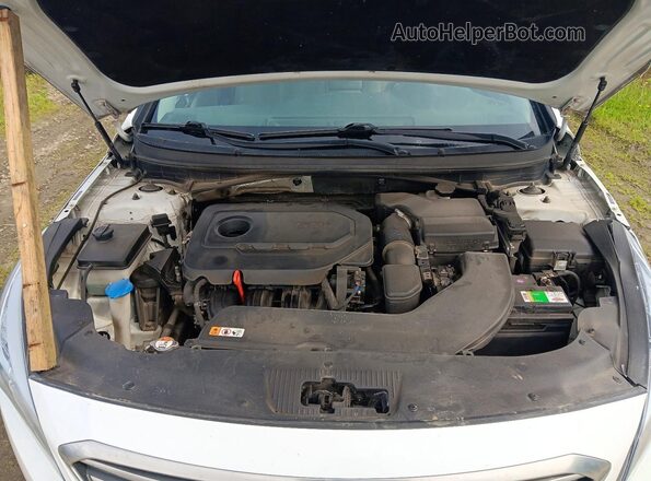 5NPE24AF3GH362170 2016 HYUNDAI SONATA Белый Вид задней части салона