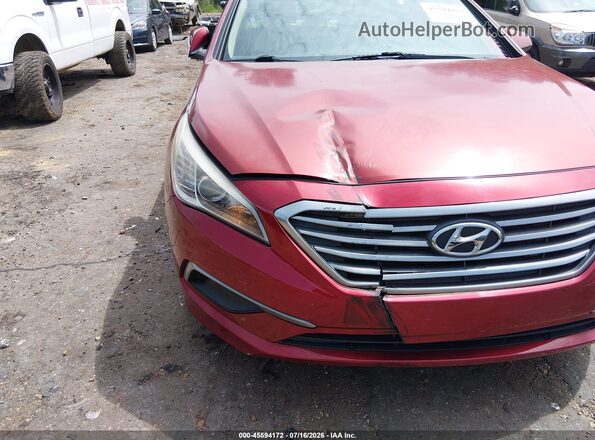 5NPE24AF3GH382032 2016 HYUNDAI SONATA Красный Вид спереди