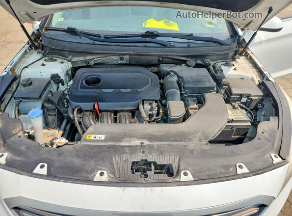 5NPE24AF3GH417619 2016 HYUNDAI SONATA White Սալոնի հետևի տեսք