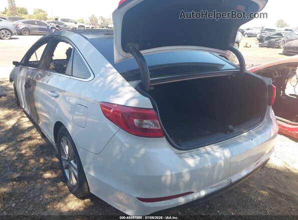 5NPE24AF3HH482567 2017 HYUNDAI SONATA White Tył lewy