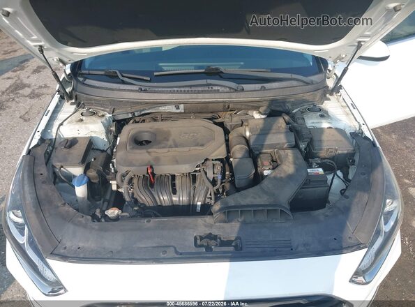 5NPE24AF3KH746183 2019 HYUNDAI SONATA Белый Вид сзади