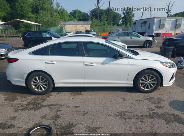 5NPE24AF3KH746183 2019 HYUNDAI SONATA Белый Вид задней части салона