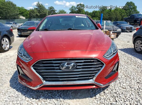 5NPE24AF3KH769186 2019 HYUNDAI SONATA Maroon წინა ხედი
