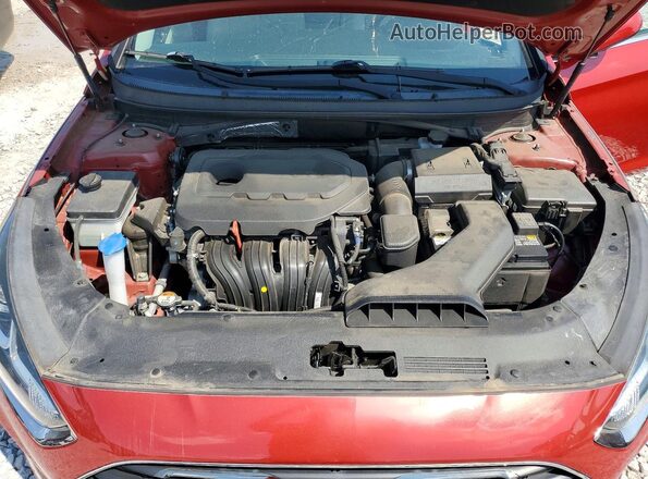 5NPE24AF3KH769186 2019 HYUNDAI SONATA Maroon უკანა სალონის ხედი