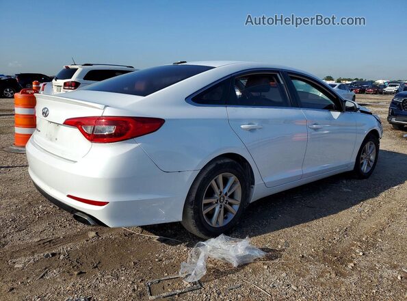 5NPE24AF4GH264782 2016 HYUNDAI SONATA White Tył prawy