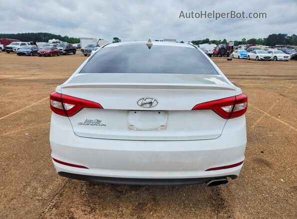 5NPE24AF4GH285017 2016 HYUNDAI SONATA White უკანა ხედი