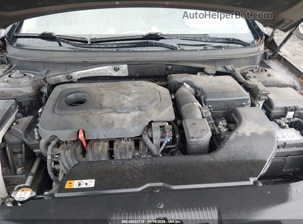 5NPE24AF4GH344535 2016 HYUNDAI SONATA Brown Widok z tyłu