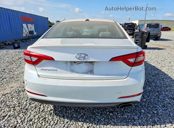 5NPE24AF4GH359388 2016 HYUNDAI SONATA White Вид ззаду