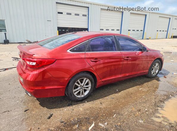 5NPE24AF4GH373291 2016 HYUNDAI SONATA Burgundy Tył prawy