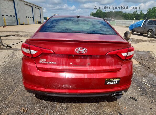 5NPE24AF4GH373291 2016 HYUNDAI SONATA Burgundy Widok z tyłu