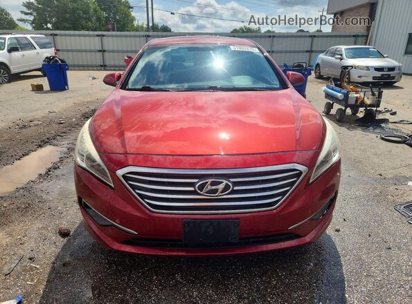 5NPE24AF4GH373291 2016 HYUNDAI SONATA Burgundy Widok z przodu