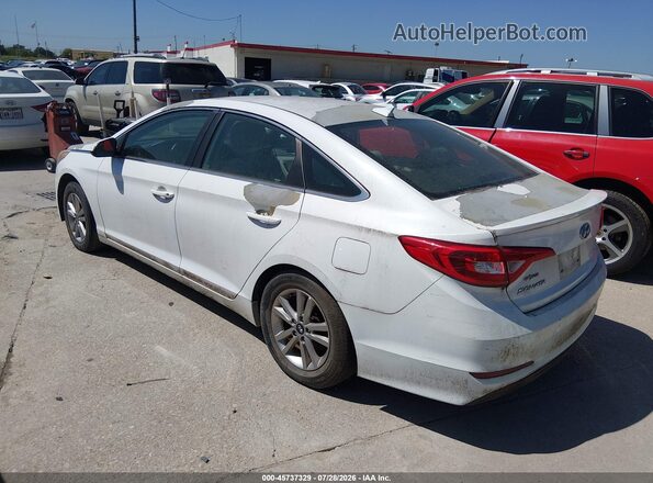 5NPE24AF4HH443597 2017 HYUNDAI SONATA Белый Задняя левая четверть
