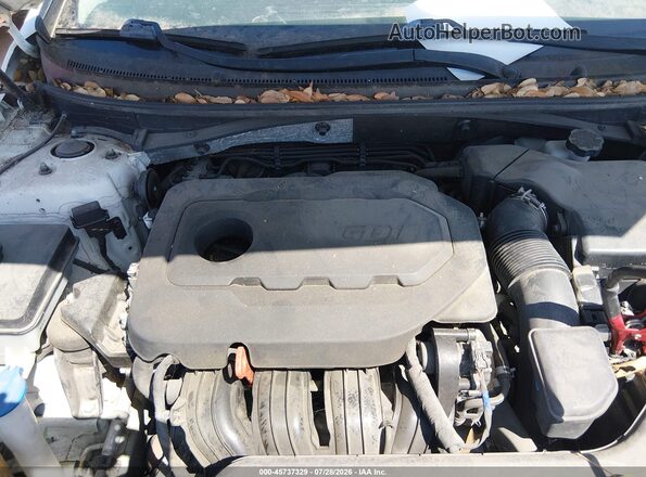 5NPE24AF4HH443597 2017 HYUNDAI SONATA Белый Вид сзади