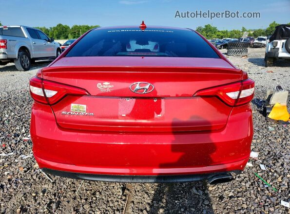 5NPE24AF4HH523241 2017 HYUNDAI SONATA Красный Вид сзади