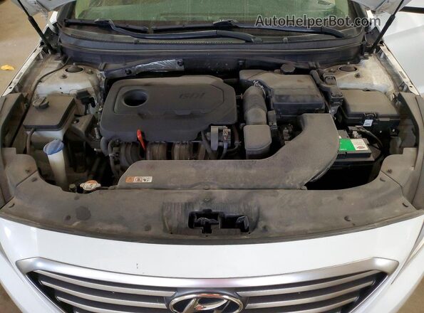 5NPE24AF4HH576814 2017 HYUNDAI SONATA White Սալոնի հետևի տեսք