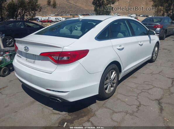 5NPE24AF4HH588901 2017 HYUNDAI SONATA White Tył prawy