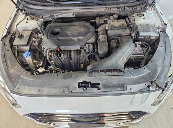 5NPE24AF4JH629338 2018 HYUNDAI SONATA White Սալոնի հետևի տեսք